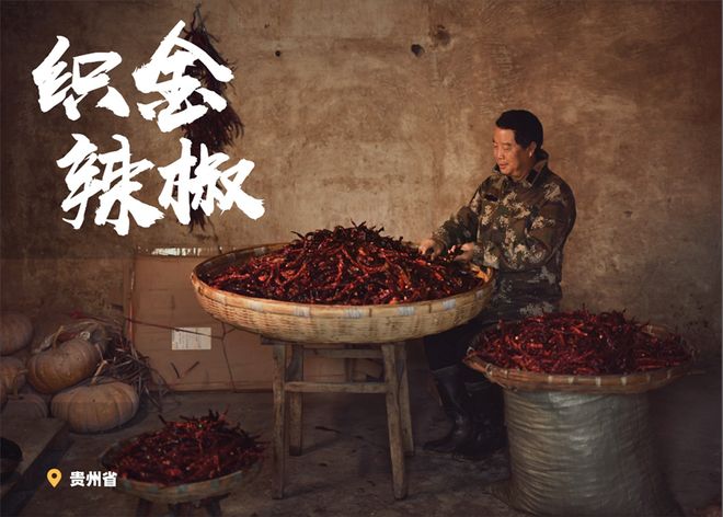 蚂蚁集团“百县百品助农行动”:用数字力量点亮乡村好货的出山之路