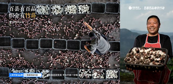 蚂蚁集团“百县百品助农行动”:用数字力量点亮乡村好货的出山之路